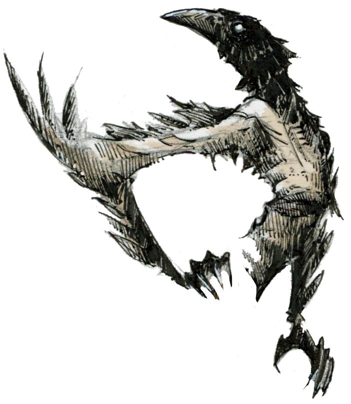 Dessin fantasy d'une créature humanoïde à tête de corbeau - inspiration JDR - artiste : Guillaume Lehericey (Lupin de Garenne)