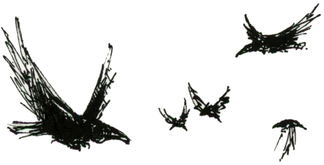 Dessin de trois corbeaux en vol - Plume et Encre - Artiste : Guillaume Lehericey (Lupin de Garenne)